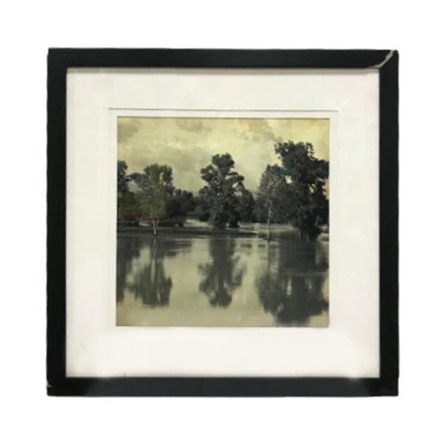 PRINT-TREE REFLECTION IN POND-