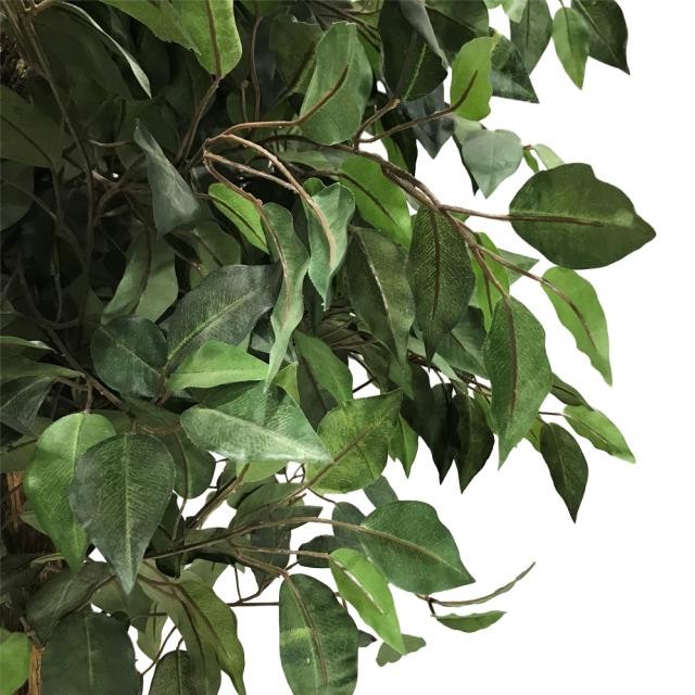 FAUX CAMELLIA TREE-(7'5")Toothed Leaf, Triple Twist Trunk