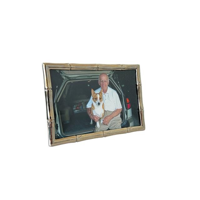 (52200459)PICTURE FRAME-Silver Bamboo Frame w|Photo of Man & Dog