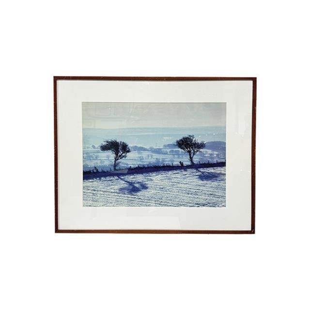 (85210781)PRINT-Landscape of Two Trees in the Wind